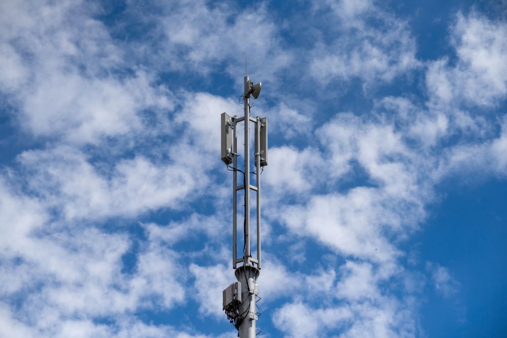 бс май 2025.jpg